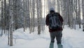 Soldier with weapons in cold forest. Winter warfare and military concept. Clip. Soldiers in winter forest on skis with Royalty Free Stock Photo