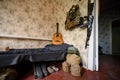 A soldier& x27;s combat military assault rifles AK 74 and military ammunition next to a guitar