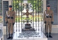 Honor guard at memorial to the fallen soldiers during the anniversary of war Royalty Free Stock Photo