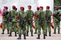 Mexican soldiers in formation with arms, mexico city I