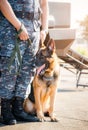 Soldiers from the K-9 unit demonstrations to attack the enemy , the green lawns. learn the human language. Dogs can follow orders