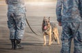Soldiers from the  K-9 unit demonstrations to attack the enemy Royalty Free Stock Photo
