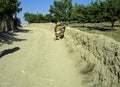 Soldiers keeping an eye on the enemy in a village in Afghanistan Royalty Free Stock Photo