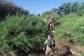 Soldiers searching the area around a village in Afghanistan