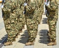 Soldiers standing in a row at the military parade Royalty Free Stock Photo