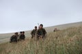 Soldiers training in the Brecon Beacons, South Wales