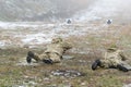 Soldiers in the training of shooting at the site are aimed fire at targets Royalty Free Stock Photo