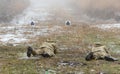 Soldiers in the training of shooting at the site are aimed fire at targets Royalty Free Stock Photo