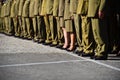 Soldiers in uniforms standing in formation during military ceremony Royalty Free Stock Photo