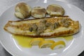 Sole fish with Canarian potatoes and capers sauce, seafood dish with a tasty flavorsome fish, papas arrugadas and sauce