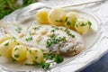 Sole fish with potatoes Royalty Free Stock Photo