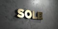 Sole - Gold sign mounted on glossy marble wall - 3D rendered royalty free stock illustration