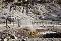 Solfatara - volcanic crater