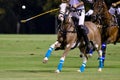 horse polo in the night match Royalty Free Stock Photo