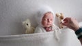 Mom Puts Newborn Baby To Bed Adding A Knitted Toy