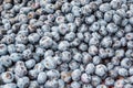 Solid background of fresh ripe and natural blueberries Royalty Free Stock Photo