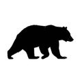 Solid black against a white background, emphasizing the bear\'s Royalty Free Stock Photo