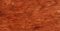 Solid Brazilian cherry wood texture background in filled frame format Royalty Free Stock Photo