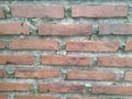 A solid brick wall even though it is mossy Royalty Free Stock Photo