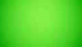 Solid bright green background, uniform color with no visible patterns or textures,