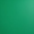 Solid Bright Green Color Background with Subtle Gradient image photo Royalty Free Stock Photo