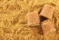 Grated raw unrefined cane sugar - Saccharum officinarum