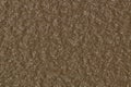 Solid chocolate brown paint color background striations textured rough surface. Royalty Free Stock Photo