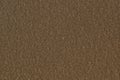 Solid chocolate brown paint color background striations textured rough surface. Royalty Free Stock Photo