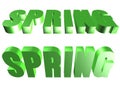 3D word - spring