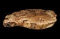 Solid elm countertop. Wood surface cross section of elm tree. Live slab. Isolated on a black. Woodworking, carpentry Royalty Free Stock Photo