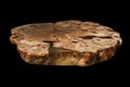 Solid elm countertop. Wood surface cross section of elm tree. Live slab. Isolated on a black. Woodworking, carpentry Royalty Free Stock Photo