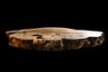 Solid elm countertop. Wood surface cross section of elm tree. Live slab. Isolated on a black. Woodworking, carpentry Royalty Free Stock Photo