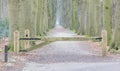 Solid fence in a dutch forest Royalty Free Stock Photo