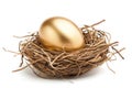 Solid gold egg in nest Isolated on white background Royalty Free Stock Photo