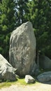 Solid gray boulder contrasts against green trees in a natural setting