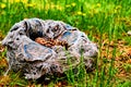 Abandoned torn old sports ball with cones inside among green grass Royalty Free Stock Photo