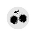 Solid icons for fruits,rambutan,vector illustrations Royalty Free Stock Photo