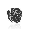 Solid icons for rose flower and shadow,vector illustrations Royalty Free Stock Photo