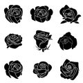 Solid icons set for rose flower and shadow,vector illustrations Royalty Free Stock Photo
