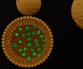 Isolated Solid Lipid Nanoparticle with nanomedicine