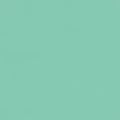 A solid mint green background fills the entire image, offering a uniform and smooth Royalty Free Stock Photo