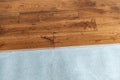 Solid oak wood flooring