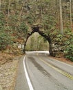 Backbone Rock Tunnel in Tennessee