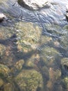 Solid rock hit by the flow of water in a river. Royalty Free Stock Photo