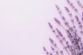 Solid Soft Lavender Background with Natural Light Gradient Royalty Free Stock Photo