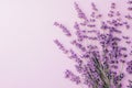 Solid Soft Lavender Background with Natural Light Gradient Royalty Free Stock Photo
