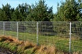 a solid wire fence encloses the garden. the welded wire