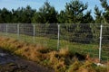 a solid wire fence encloses the garden. the welded wire