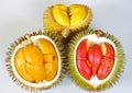 Solid Yellow Orange Red Durian