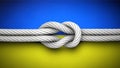 Solidarity and cohesion in Ukraine
